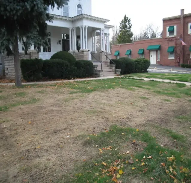 Damaged St. Augustine grass lawn in Spring Hill FL before professional lawn care treatment.